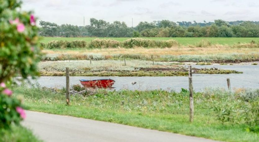 Photo of "Topi" - 15m from the sea