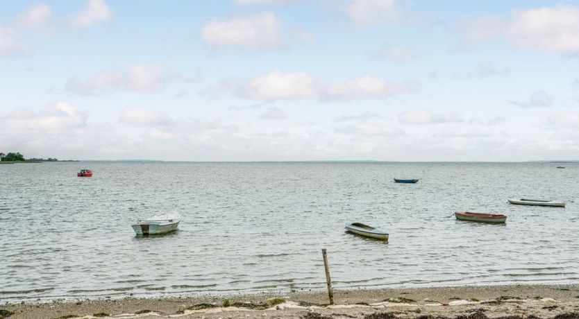 Photo of "Topi" - 15m from the sea