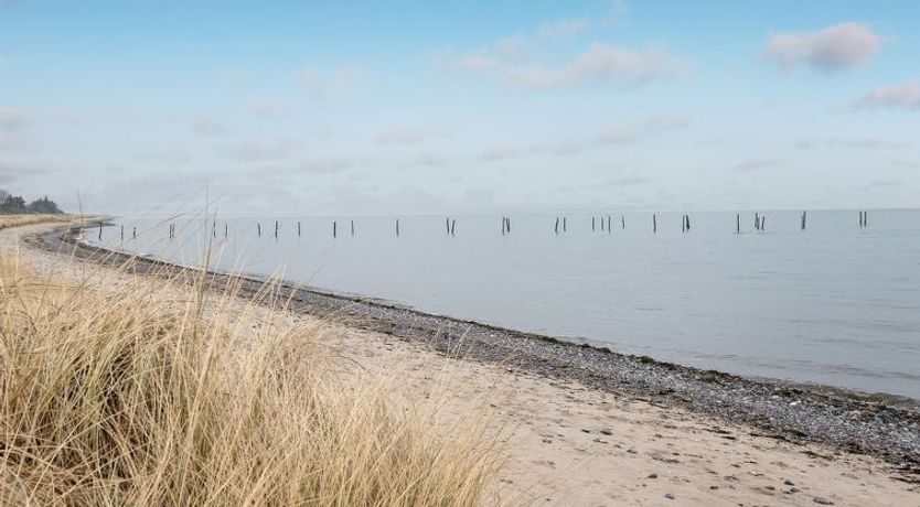 Photo of "Hattie" - 100m from the sea