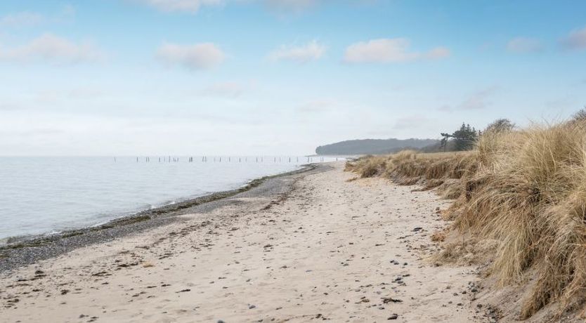 Photo of "Hattie" - 100m from the sea