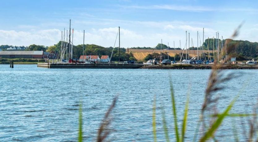 Photo of "Peetu" - 200m to the fjord