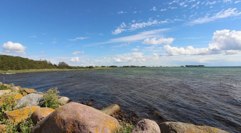 Photo of "Wrage" - 500m from the sea