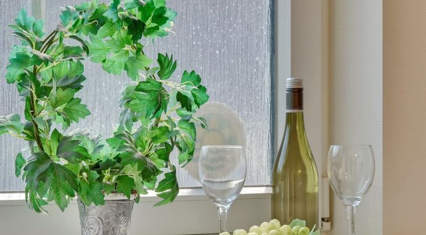 Photo of "Fausta" - 150m to the fjord