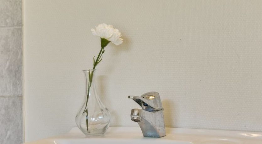 Photo of "Fausta" - 150m to the fjord