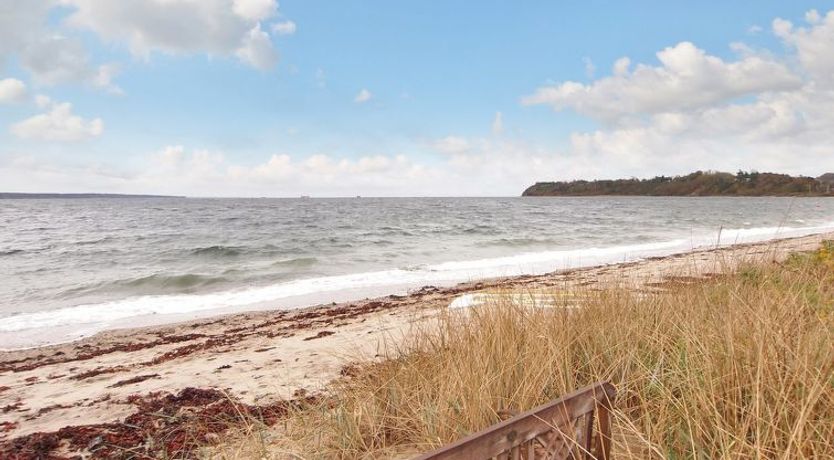 Photo of "Laila" - 50m from the sea