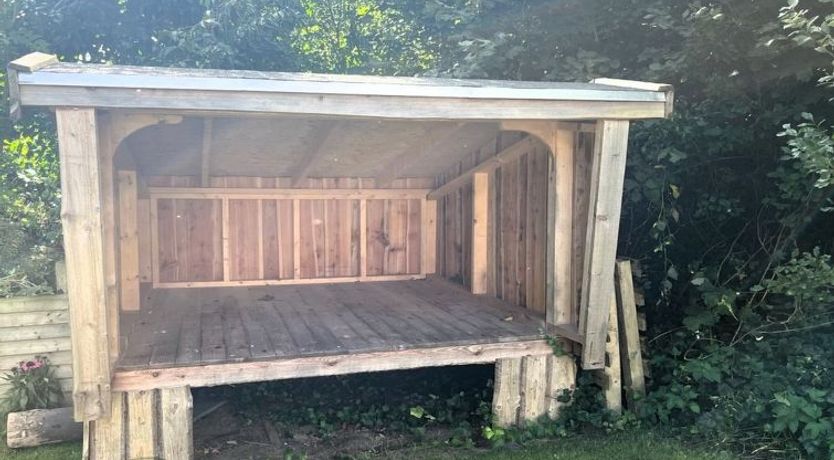 Photo of "Laila" - 50m from the sea