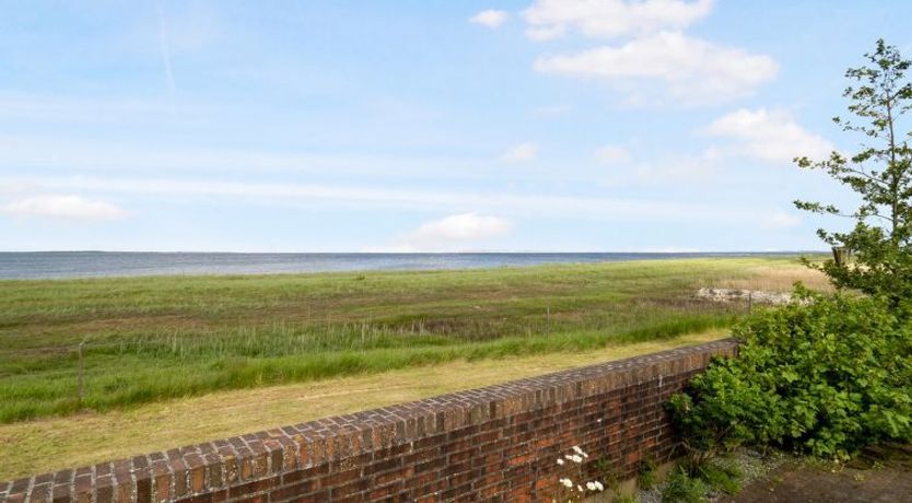 Photo of "Emmie" - 50m to the fjord