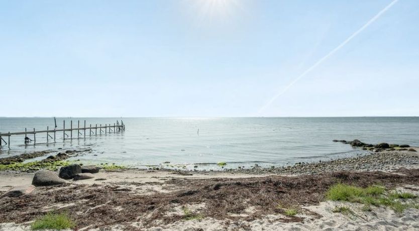 Photo of "Selja" - 15m from the sea