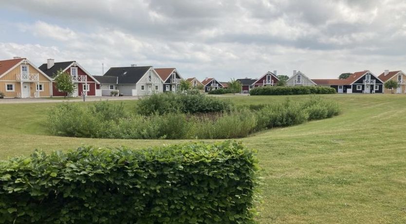 Photo of "Eike" - 250m from the sea