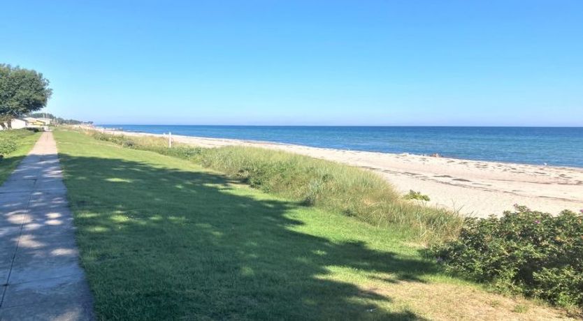 Photo of "Ulv" - 25m from the sea