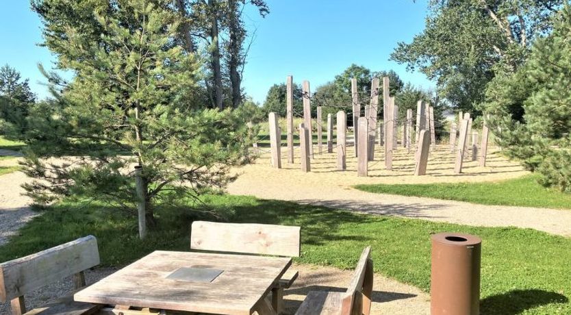 Photo of "Ulv" - 25m from the sea