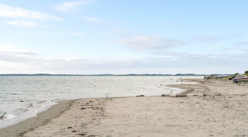 Photo of "Wildemor" - 35m from the sea