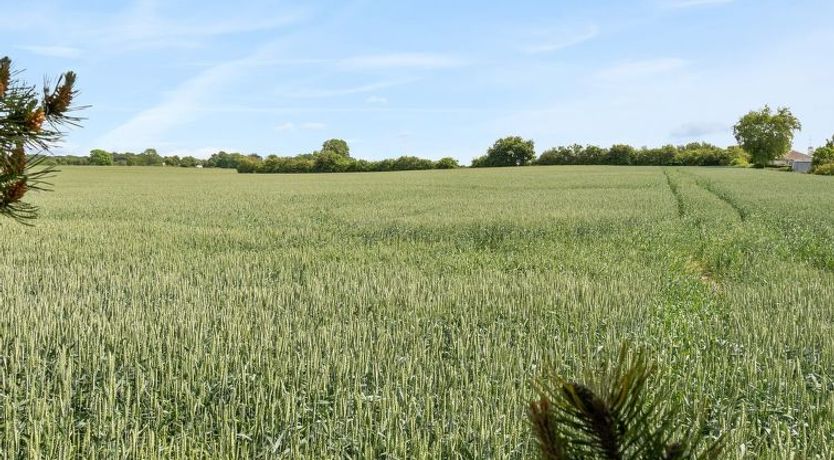 Photo of "Veljan" - 400m from the sea