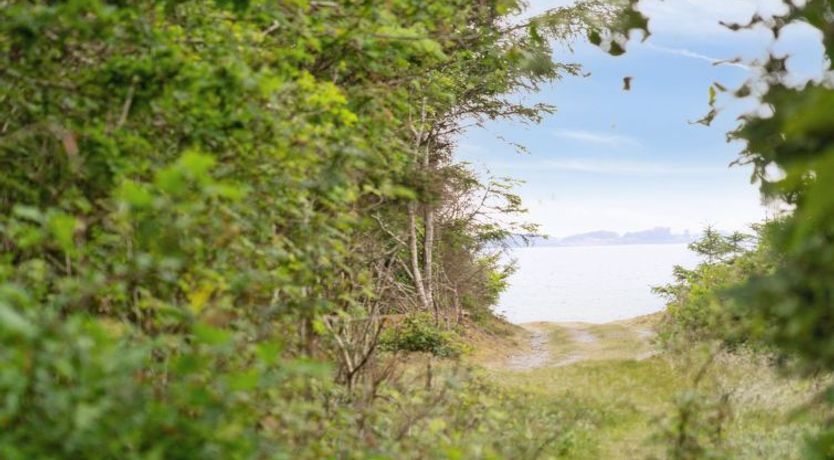 Photo of "Akke" - 150m to the fjord