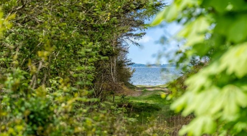 Photo of "Akke" - 150m to the fjord