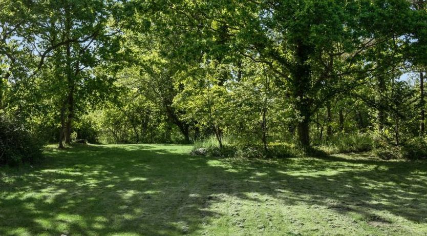 Photo of "Norwin" - 250m from the sea