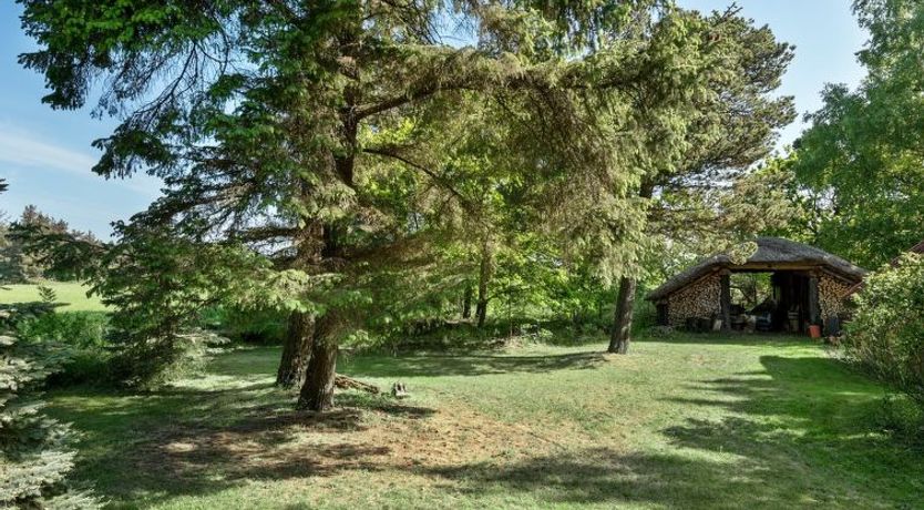 Photo of "Norwin" - 250m from the sea