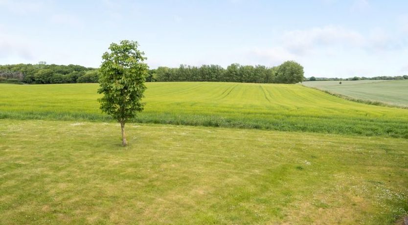 Photo of "Janne" - 400m from the sea