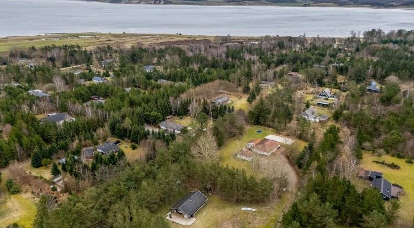 Photo of "Aman" - 700m to the fjord