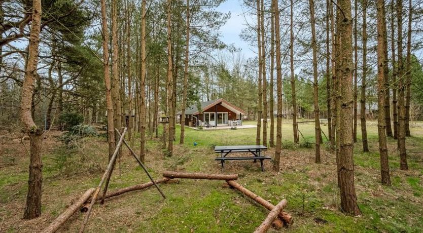 Photo of "Aman" - 700m to the fjord