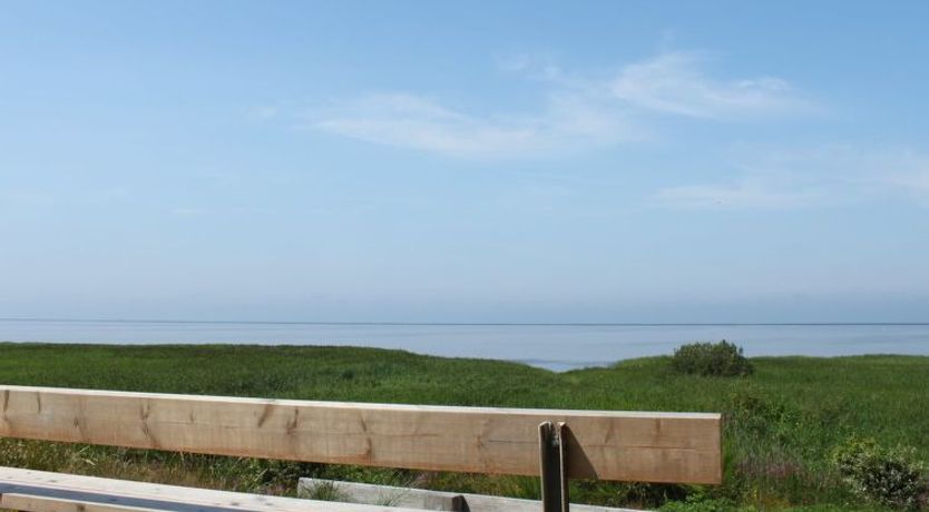 Photo of "Pyry" - 400m to the fjord