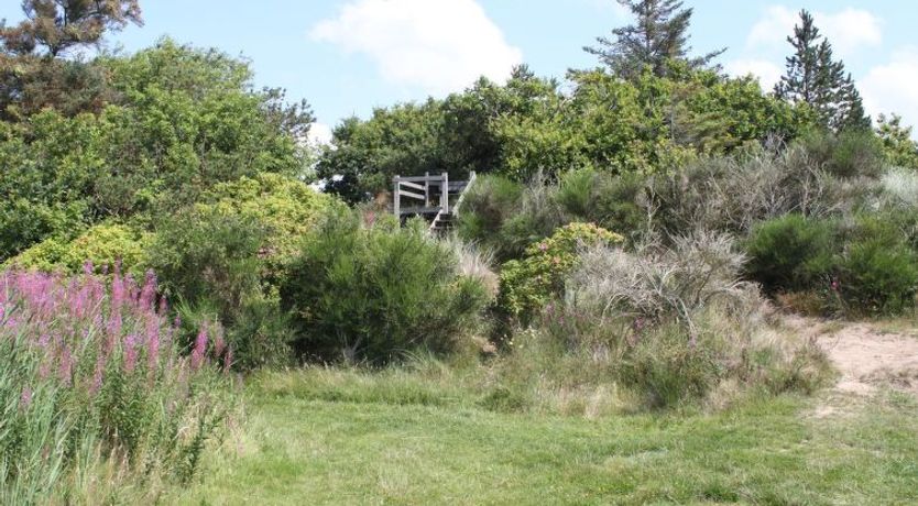 Photo of "Pyry" - 400m to the fjord