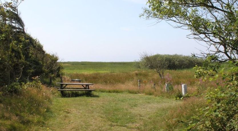 Photo of "Pyry" - 400m to the fjord