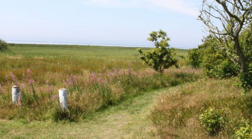 Photo of "Pyry" - 400m to the fjord