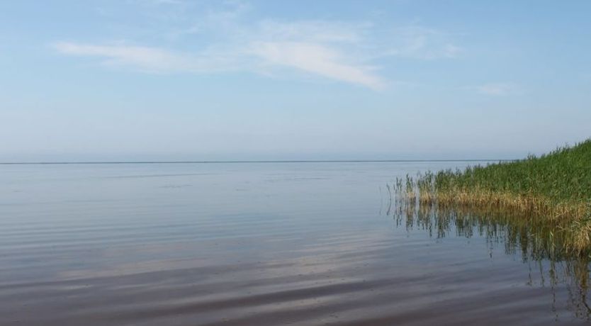 Photo of "Pyry" - 400m to the fjord