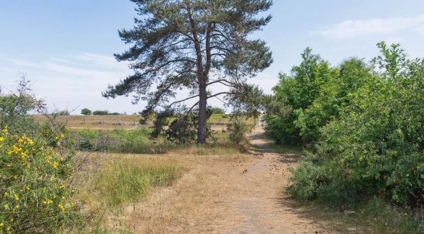 Photo of "Auke" - 100m from the sea