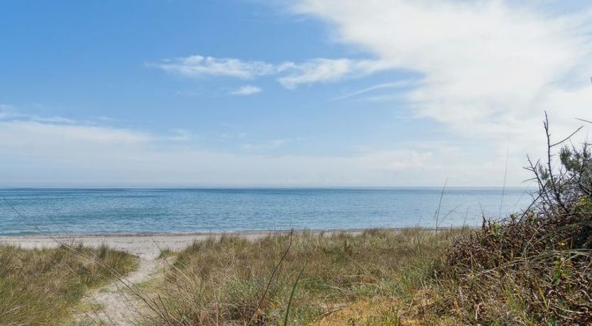 Photo of "Auke" - 100m from the sea