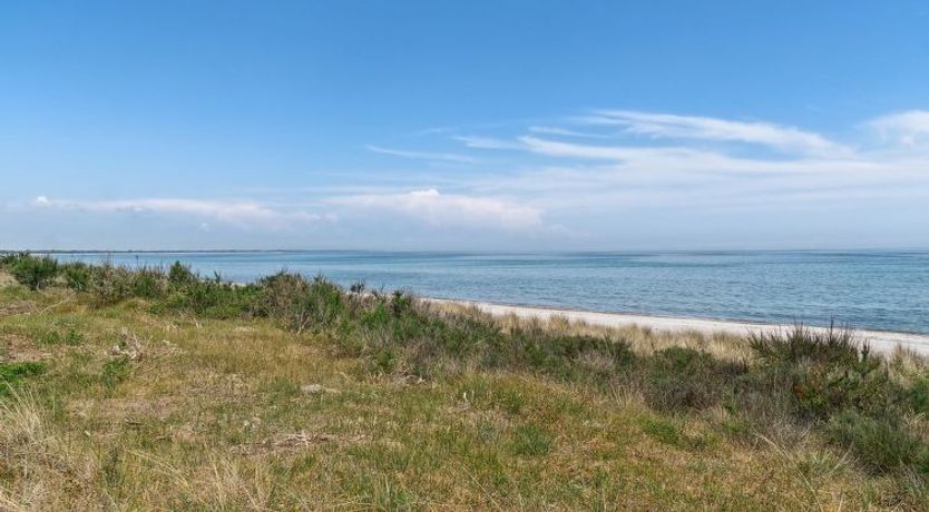 Photo of "Auke" - 100m from the sea