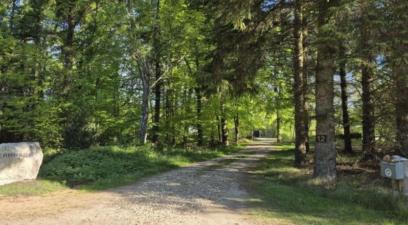 Photo of "Aswarth" - 50m to the fjord