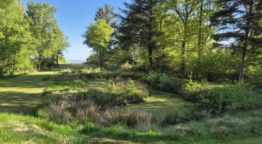 Photo of "Aswarth" - 50m to the fjord