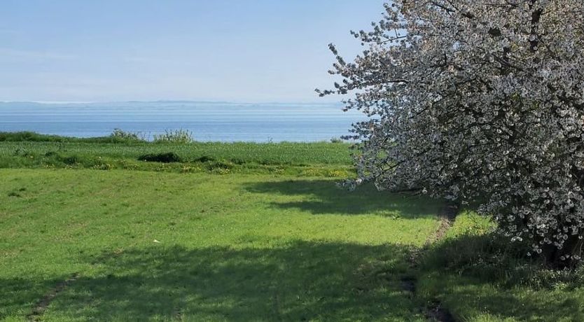 Photo of "Ady" - 150m from the sea
