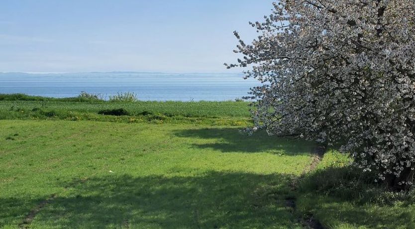 Photo of "Ady" - 150m from the sea