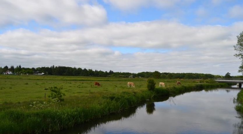 Photo of "Josina" - 32km from the sea in Western Jutland