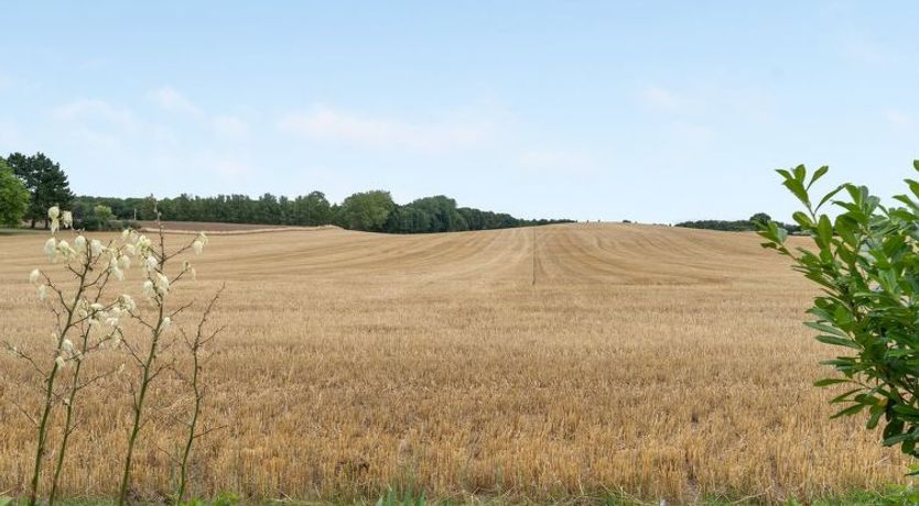 Photo of "Asya" - 600m from the sea