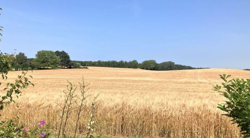 Photo of "Asya" - 600m from the sea