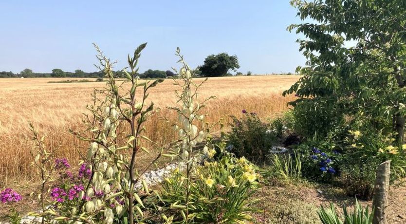 Photo of "Asya" - 600m from the sea