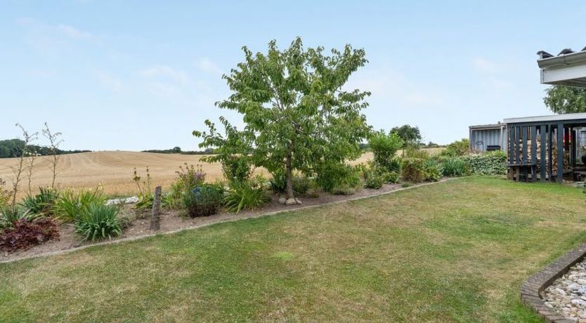 Photo of "Asya" - 600m from the sea