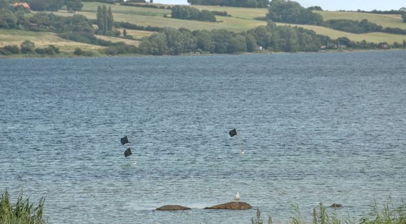 Photo of "Elain" -  from the sea