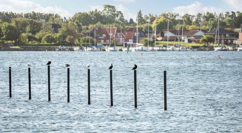 Photo of "Joar" - 5m to the fjord