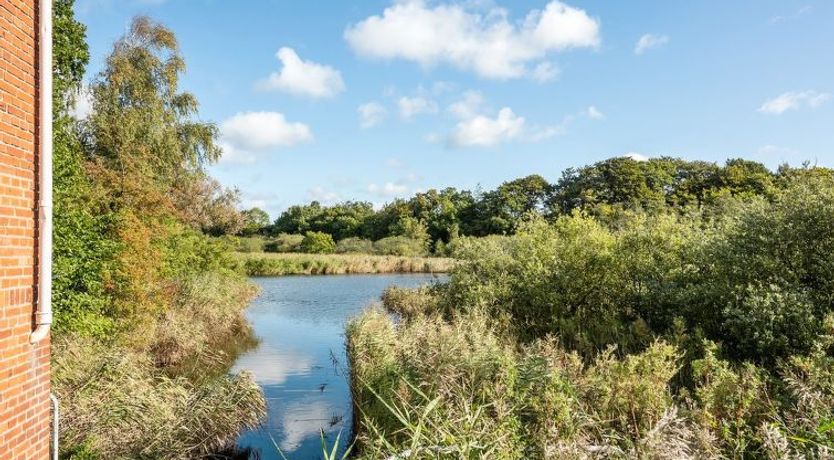 Photo of "Joar" - 5m to the fjord