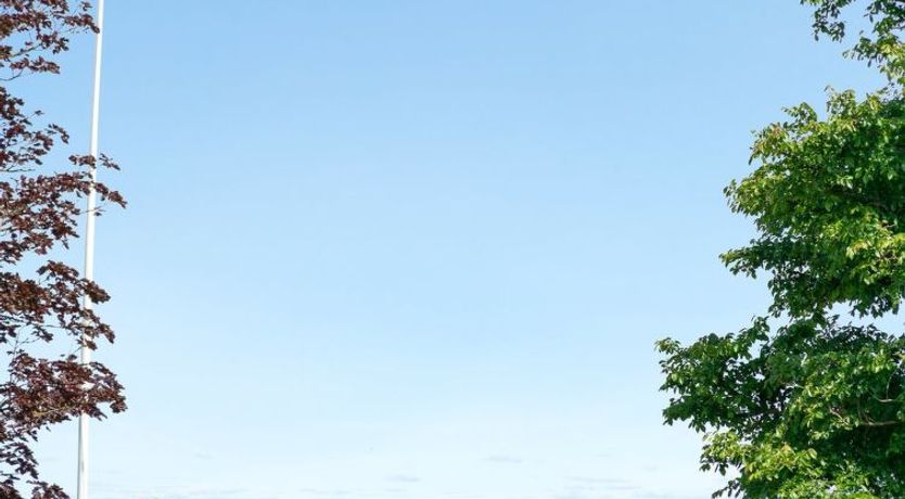 Photo of "Kjell" - 100m from the sea