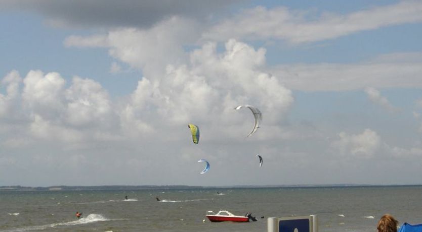 Photo of "Samuil" - 300m to the fjord