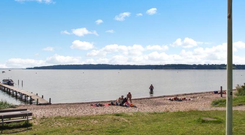 Photo of "Star" - 100m from the sea