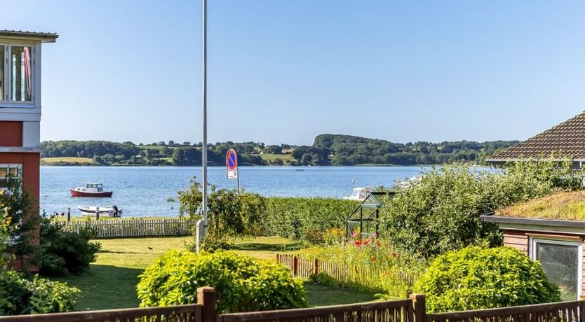 Photo of "Star" - 100m from the sea