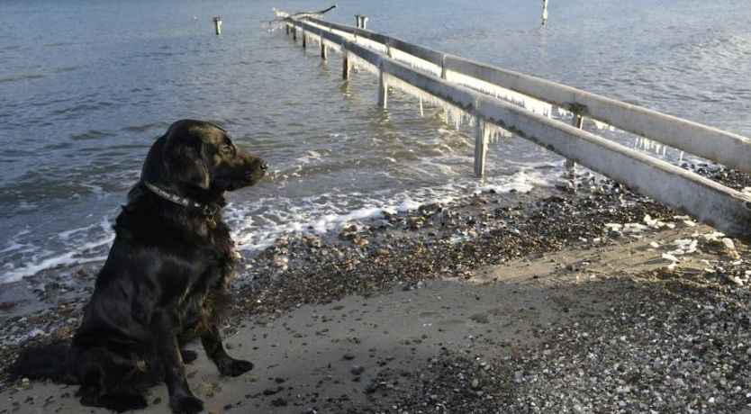 Photo of "Lander" - 20m from the sea