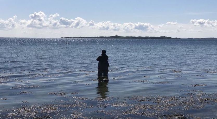 Photo of "Lander" - 20m from the sea